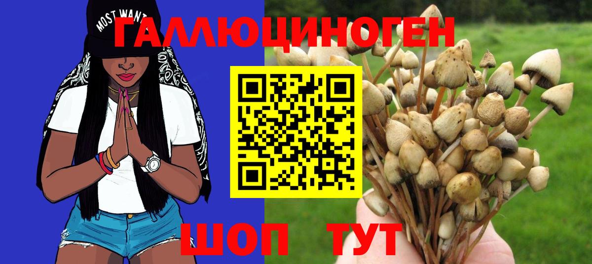 Псилоцибиновые грибы MAGIC MUSHROOMS  Вход с VPN  Владимир 